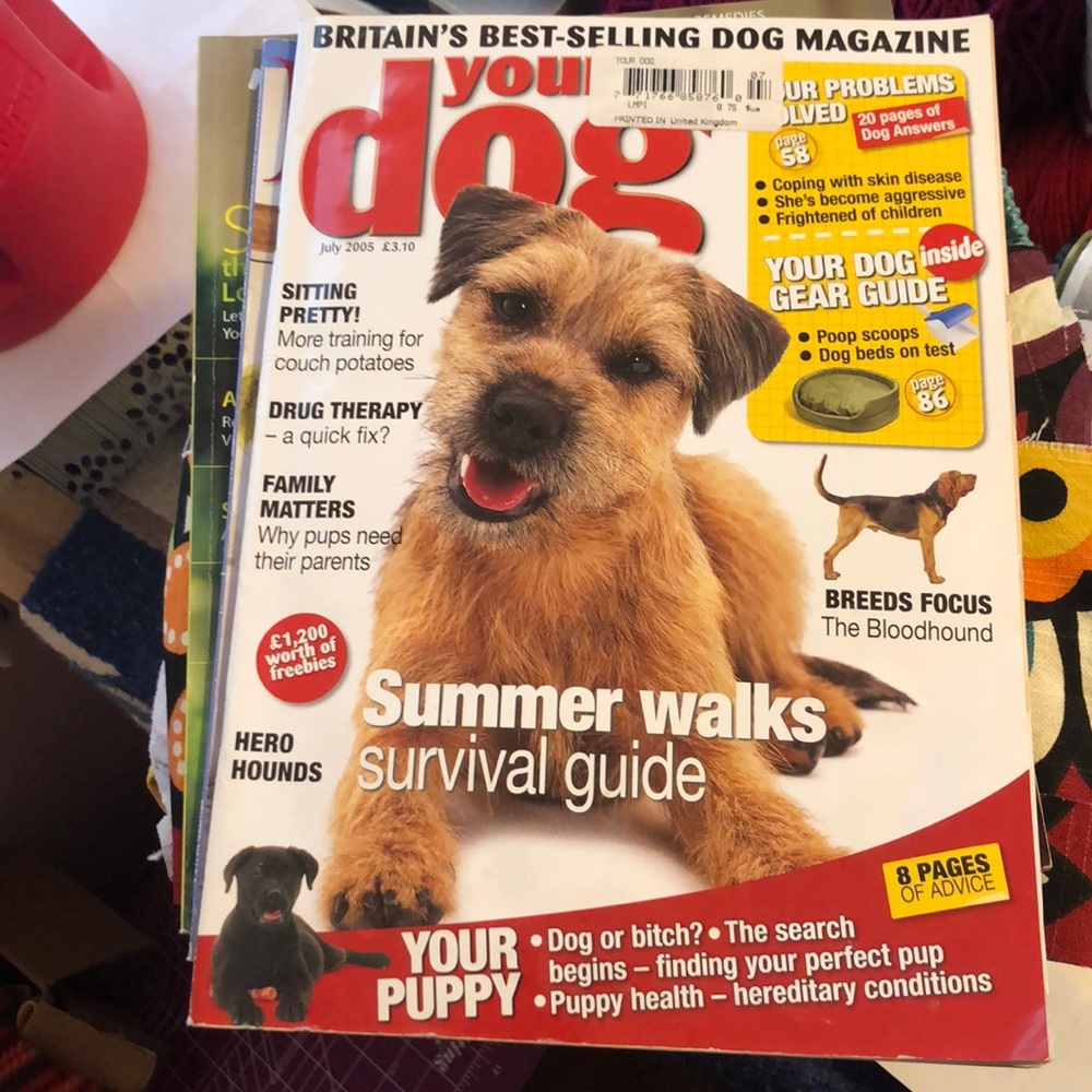 Your Dog Magazine July 2005